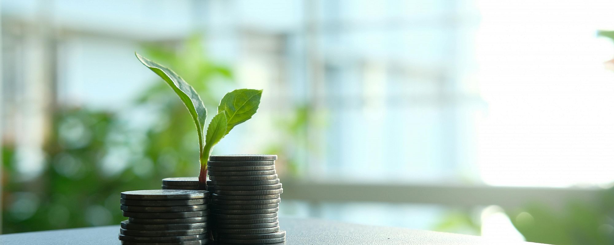 SOFT CONTENTS RESTORATION ROI STUDY